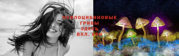 крисы Богородицк