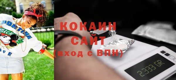 крисы Богородицк