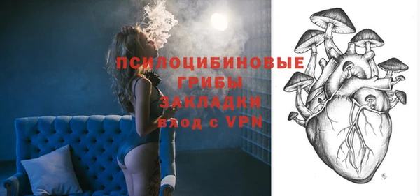 крисы Беломорск