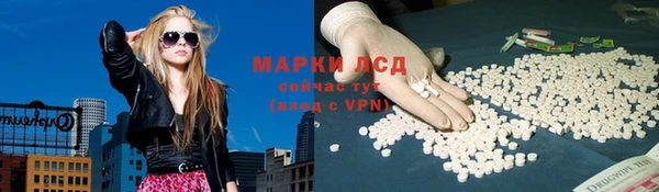 молекула духа Богданович