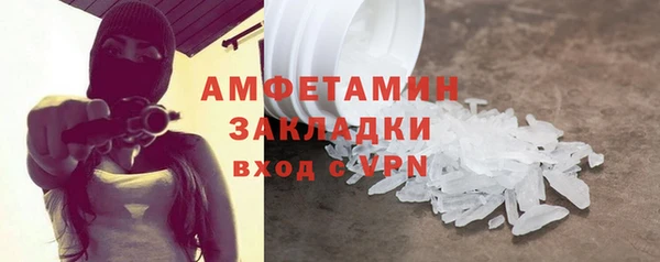 молекула духа Богданович