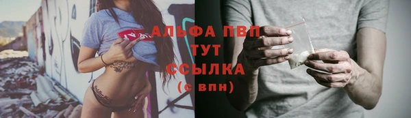 молекула духа Богданович