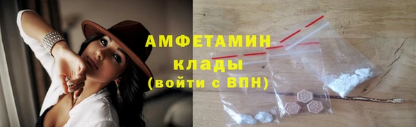 молекула духа Богданович
