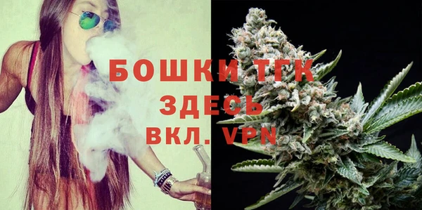 молекула духа Богданович