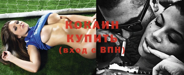 молекула духа Богданович