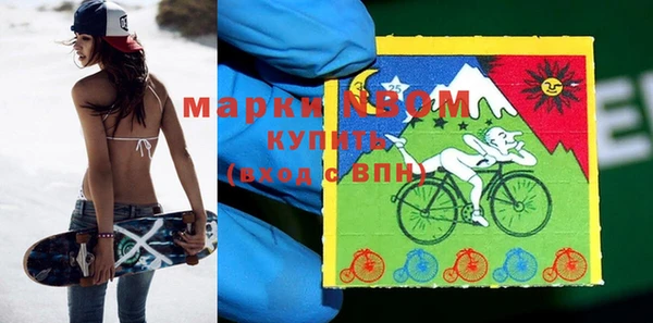 молекула духа Богданович