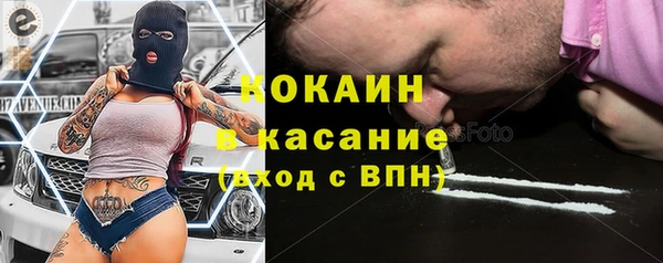 молекула духа Богданович