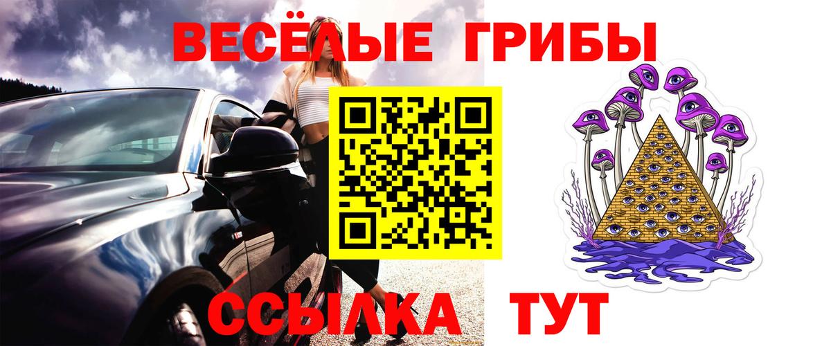 Галлюциногенные грибы ЛСД Гусев