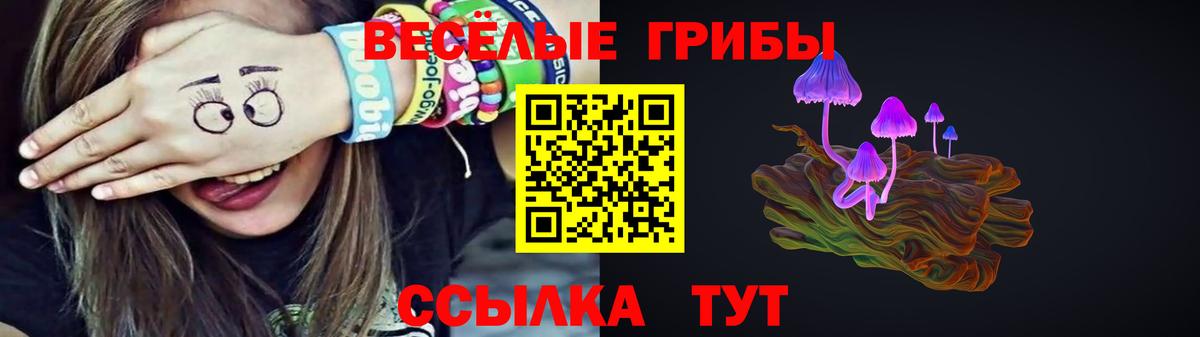 Псилоцибиновые грибы мухоморы  Вход с VPN  Гусев 