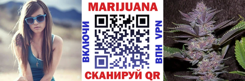 Конопля планчик  Гусев 